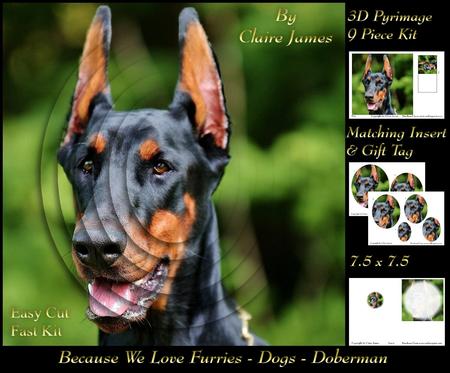 Furry Friends & Familiars - Dogs - Doberman + Insert & Tag