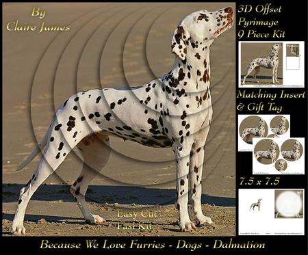 Furry Friends & Familiars - Dogs - Dalmation 2 +insert & Tag