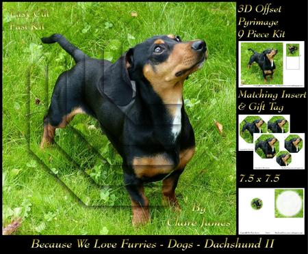 Furry Friends & Familiars Dogs Dachshund 2