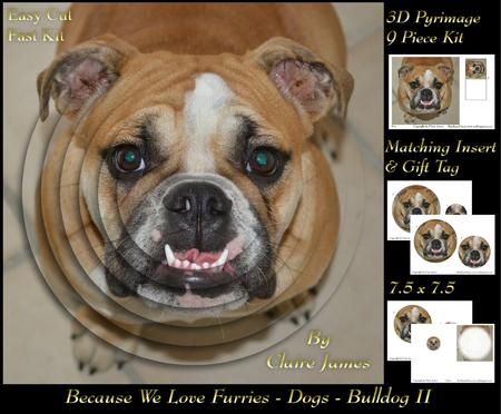 Furry Friends & Familiars - Dogs - Bulldog 2 + Insert & Tag