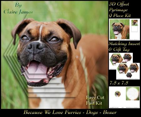 Furry Friends & Familiars - Dogs - Boxer + Insert & Tag