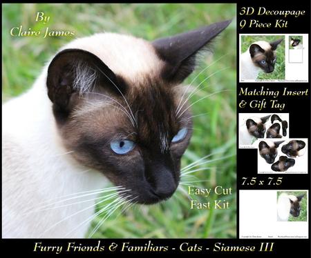 Furry Friends & Familiars - Cats - Siamese 3 + Insert & Tag