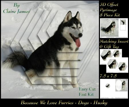 Furry Friends & Familiars - Dogs - Husky Pyrimage Insert+tag