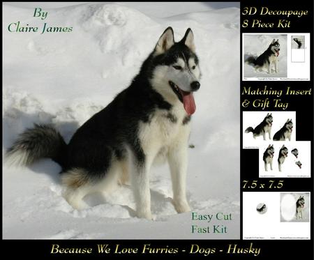 Furry Friends & Familiars - Dogs - Husky + Insert & Tag