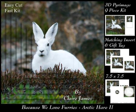 Because We Love Furries - Arctic Hare 2 Pyrimage +insert+tag
