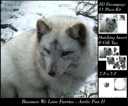 Because We Love Furries - Artctic Fox 2 + Insert & Tag