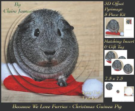 Because We Love Furries - Christmas Guinea Pig Pyrimage +tag