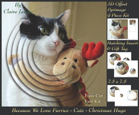 Furry Friends & Familiars - Chistmas Cat Pyrimage Insert+tag