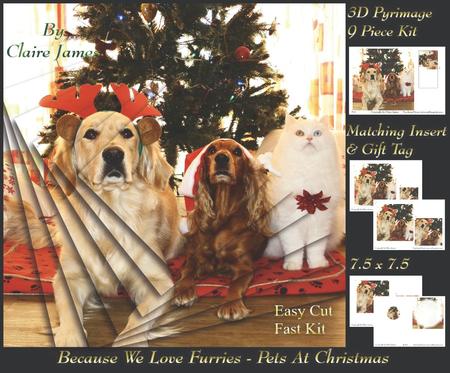 Furry Friends & Familiars - Pets Christmas Pyrimage + Tag +