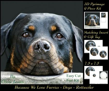 Furry Friends & Familiars - Dogs - Rottweiler +insert & Tag