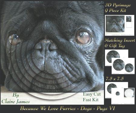 Furry Friends & Familiars - Dogs - Black Pug 6 +insert & Tag