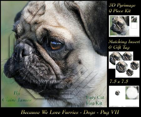 Furry Friends & Familiars - Dogs - Pug 7 + Insert & Tag