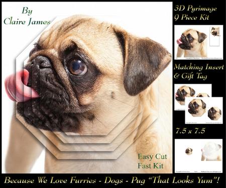 Furry Friends & Familiars - Dogs - Pug That Looks Yum! +tag+