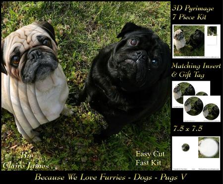 Furry Friends & Familiars - Dogs - Pugs 5 + Insert & Tag