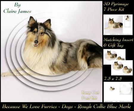 Furry Friends & Familiars - Dogs - Rough Collie Blue Merle +
