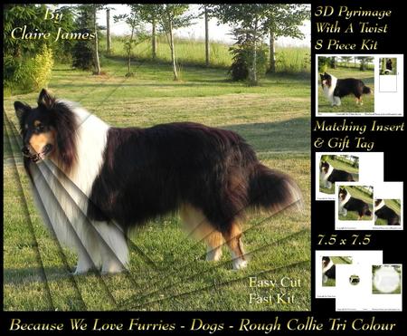 Furry Friends & Familiars - Dogs - Rough Collie Tricolour +