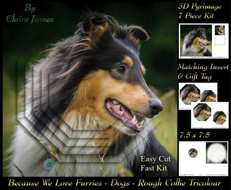 Furry Friends & Familiars - Dogs - Rough Collie Tri Colour +