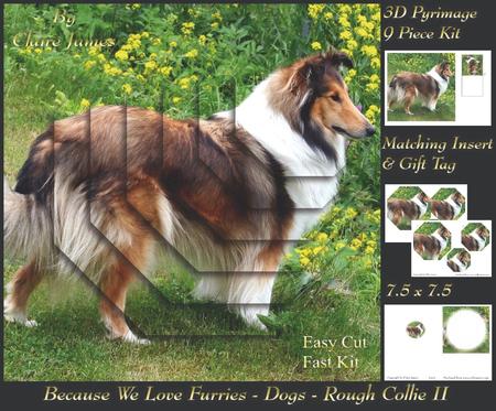 Furry Friends & Familiars - Dogs - Rough Collie 2 + Tag +