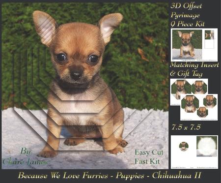 Furry Friends & Familiars - Puppies - Chihuahua 2 Pyrimage +