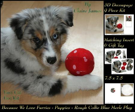 Furry Friends & Familiars-puppy-rough Collie Merle Play Deco
