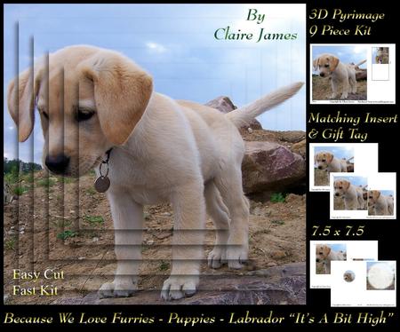 Furry Friends & Familiars - Puppy - Labrador Pyrimage +tag+