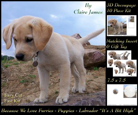 Furry Friends & Familiars - Puppy - Labrador Its a Bit High+