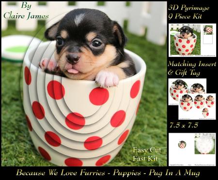 Furry Friends & Familiars - Puppy - Pug in a Mug Pyrimage +