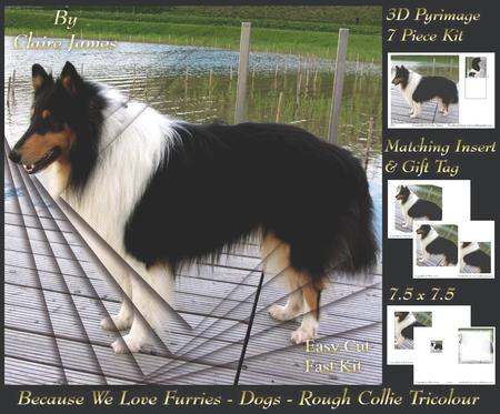 Furry Friends & Familiars - Dogs - Tri Colour Rough Collie +