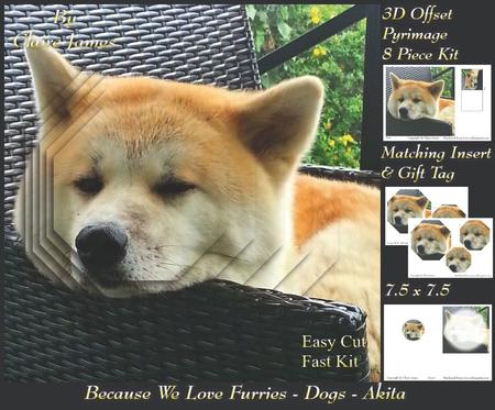 Furry Friends & Familiars - Dogs - Comfy Akita +insert & Tag