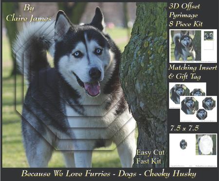Furry Friends & Familiars - Dogs - Cheeky Husky +insert+tag
