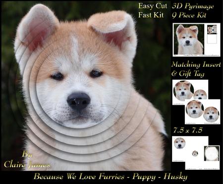 Furry Friends & Familiars - Puppy - Husky Cutie +insert+tag