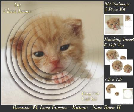 Furry Friends & Familiars - Kitten - Newborn 2 +insert & Tag