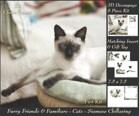 Furry Friends & Familiars - Cats - Siamese Chillaxing +tag+
