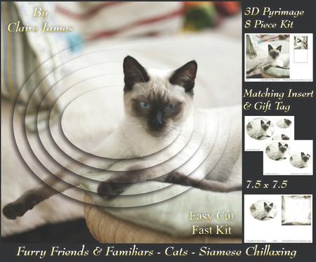 Furry Friends & Familiars - Cats - Siamese Chillaxing +tag+