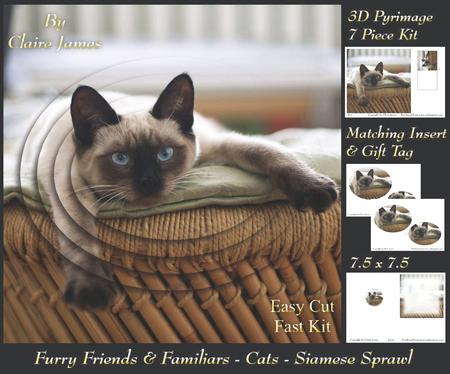 Furry Friends & Familiars - Cats - Siamese Sprawl Pyrimage +