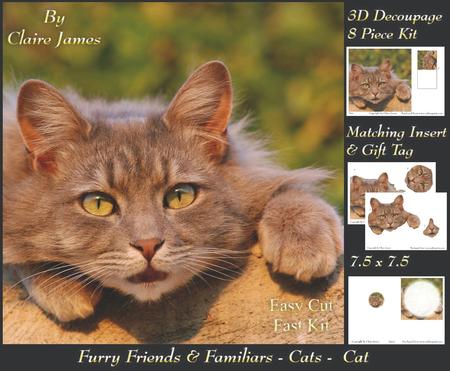 Furry Friends & Familiars - Cats - 3 Decoupage + Insert+tag