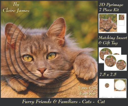 Furry Friends & Familiars - Cats - 3 Pyrimage + Insert+tag