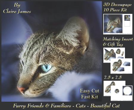 Furry Friends & Familiars - Cats Beautiful Deco +tag +