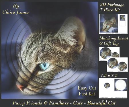 Furry Friends & Familiars - Cats Beautiful Pyrimage +tag +