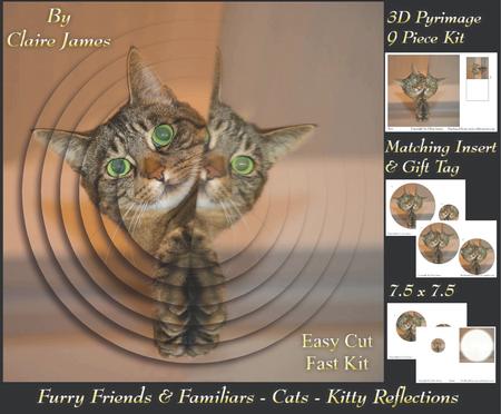 Furry Friends & Familiars - Cats - Kitty Reflections + Tag +