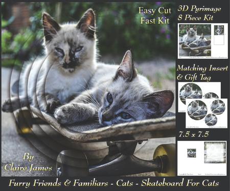 Furry Friends & Familiars Cats Scateboard for Cats + Tag +