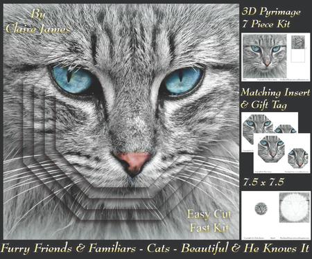Furry Friends & Familiars - Cats - Beautiful & He Knows It +