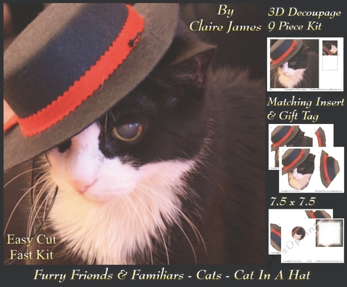 Furry Friends & Familiars - Cats - Cat in a Hat Deco +tag+