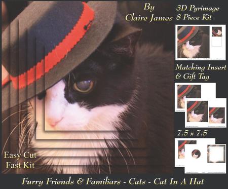 Furry Friends & Familiars - Cats - Cat in a Hat +insert+tag+