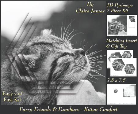 Furry Friends & Familiars - Kitten Comfort + Insert & Tag