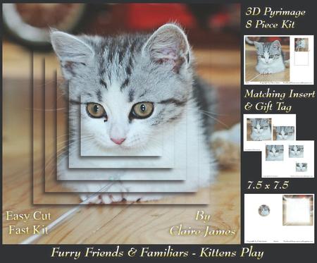 Furry Friends & Familiars - Kitten Play + Insert & Tag