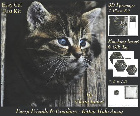 Furry Friends & Familiars - Kitten Hide Away +insert & Tag