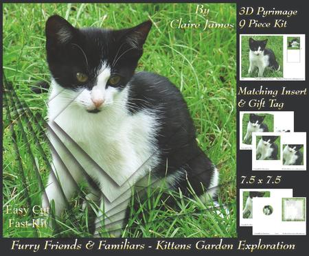 Furry Friends & Familiars - Kitten - Garden Exploration +tag