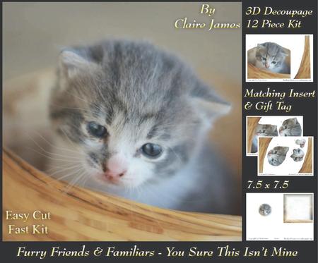 Furry Friends & Familiars-kittens-you Sure This Isn't Mine +