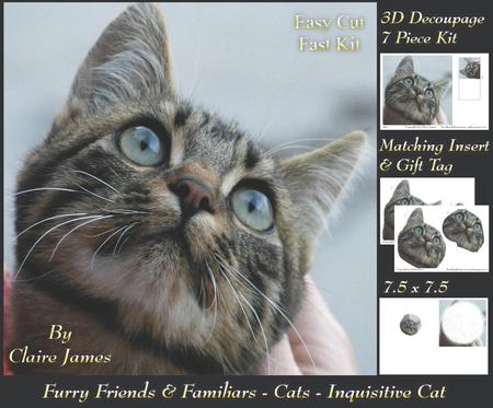 Furry Friends & Familiars - Cats - Inquisitive Decoupage +